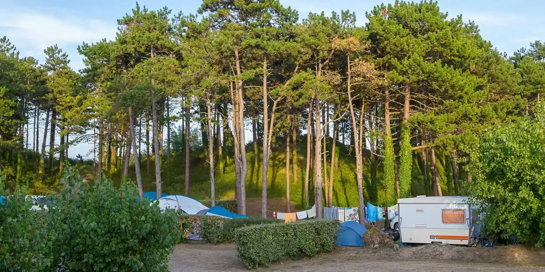 allee camping3