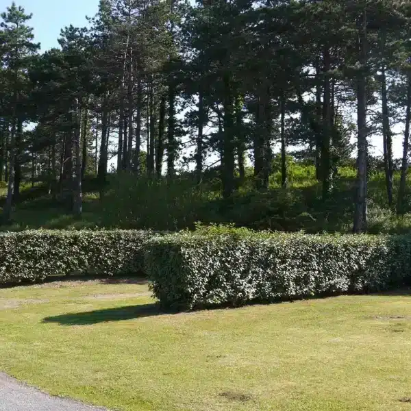 Emplacement pour tente dans la Manche