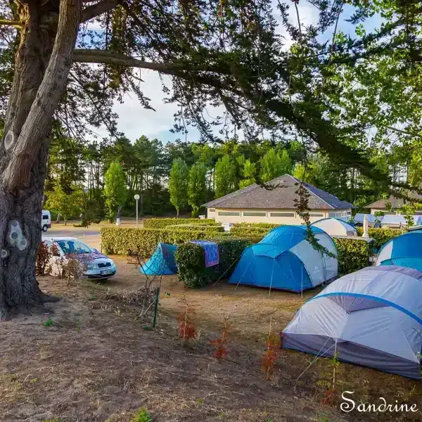 Emplacement ombragé au camping pour des vacances nature dans la Manche