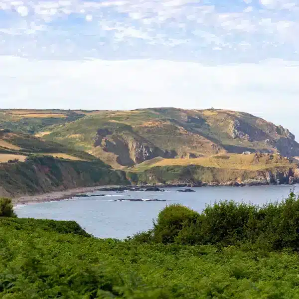 Vue sur les falaises du Nez de Jobourg, randonnée incontournable dans la Manche